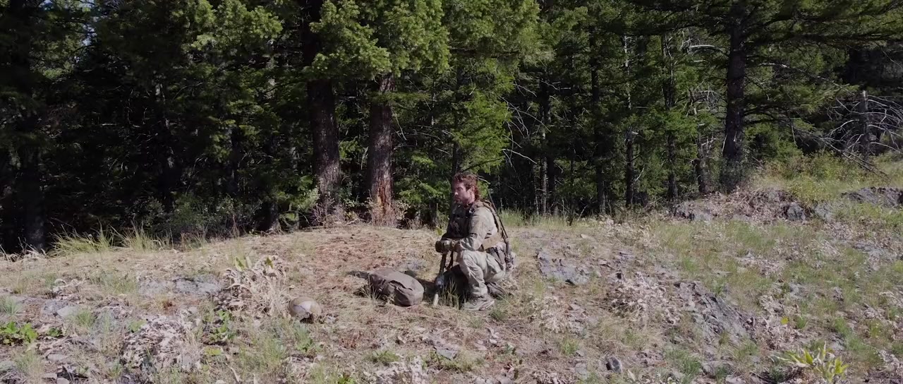 Warhorse One screenshot 1