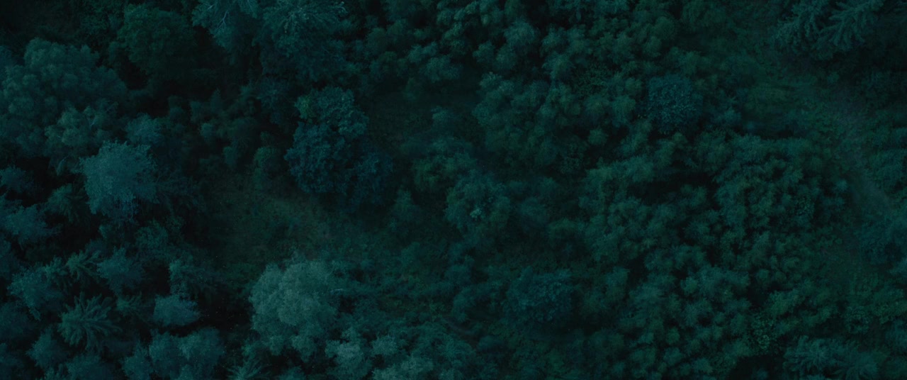 WarHunt screenshot 1