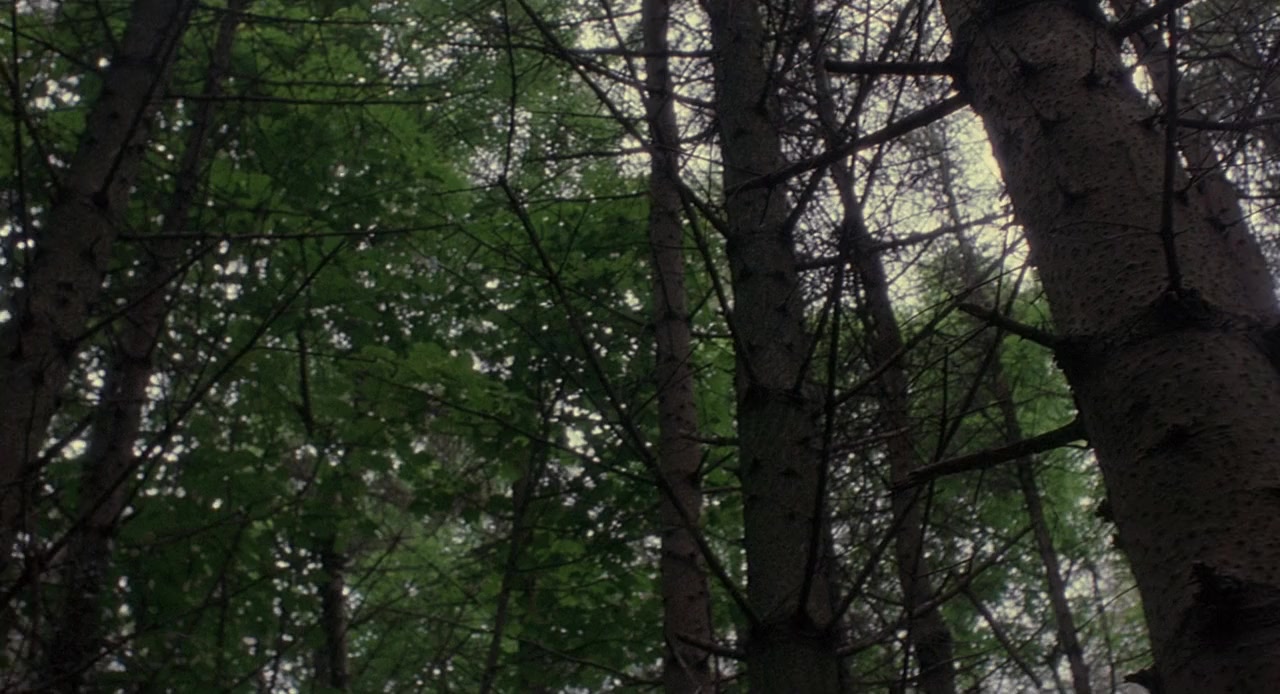 Warlock III: The End of Innocence screenshot 1