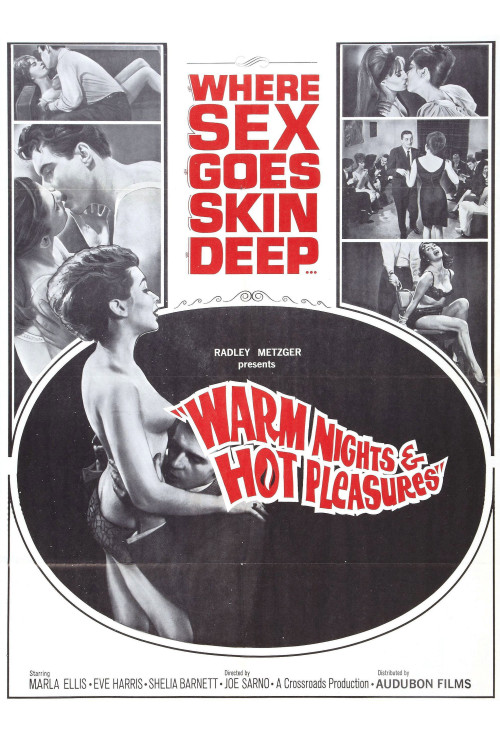 Warm Nights and Hot Pleasures (1964) poster