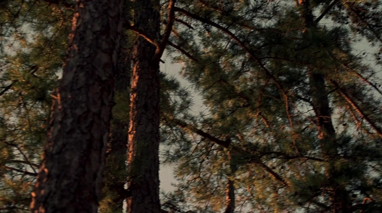 Warm Springs screenshot 1
