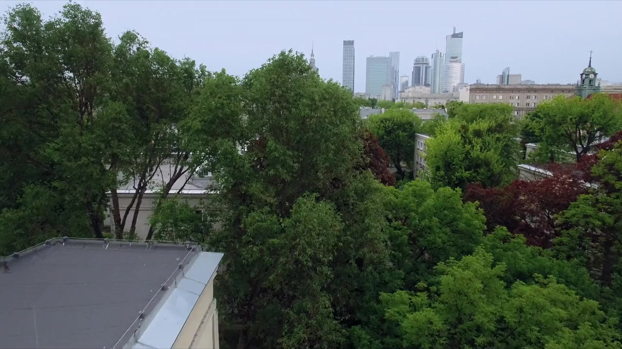 Warsaw: A City Divided screenshot 3