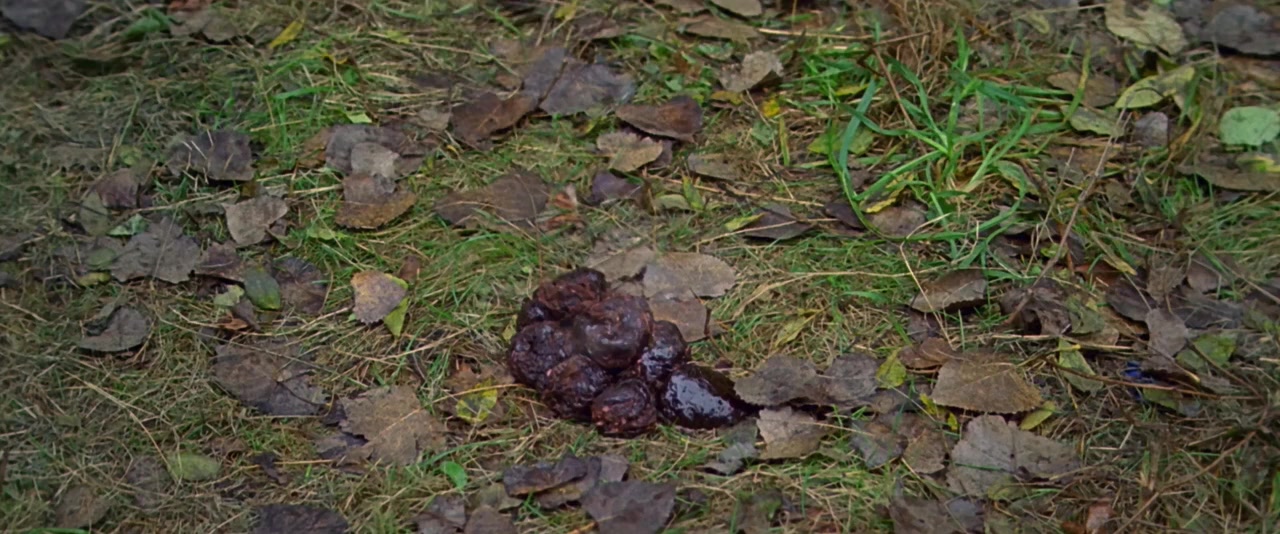 Warpath screenshot 2