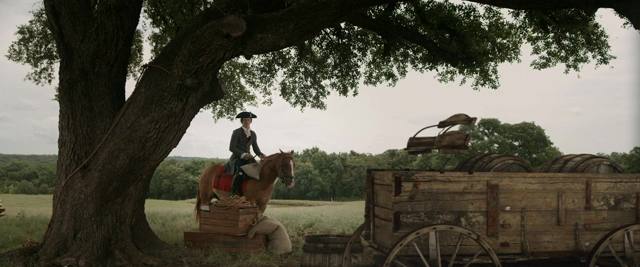 Washington's Armor: The Journey screenshot 1