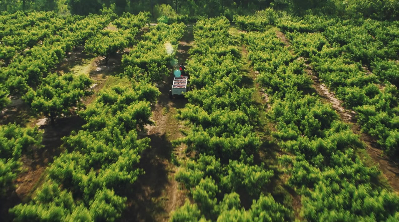 Wasted! The Story of Food Waste screenshot 2