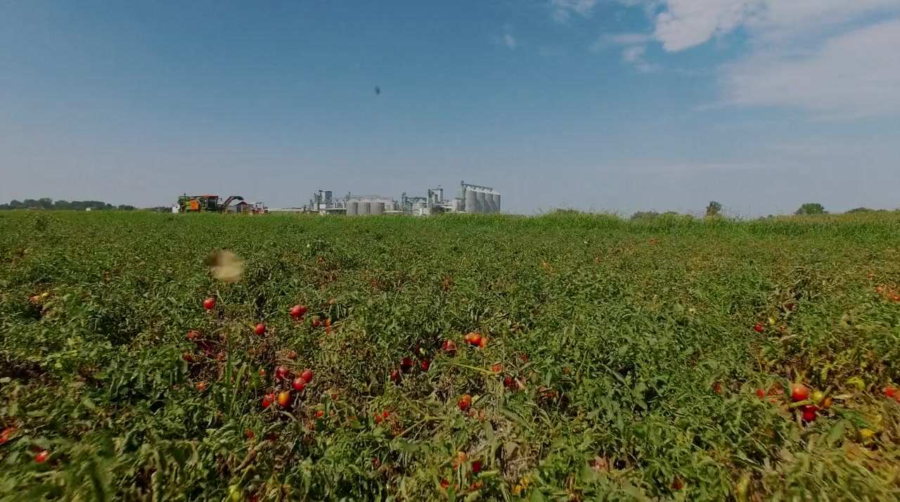 Wasted! The Story of Food Waste screenshot 3