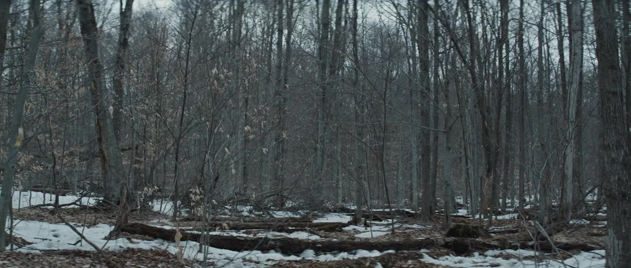 We've Forgotten More Than We Ever Knew screenshot 1