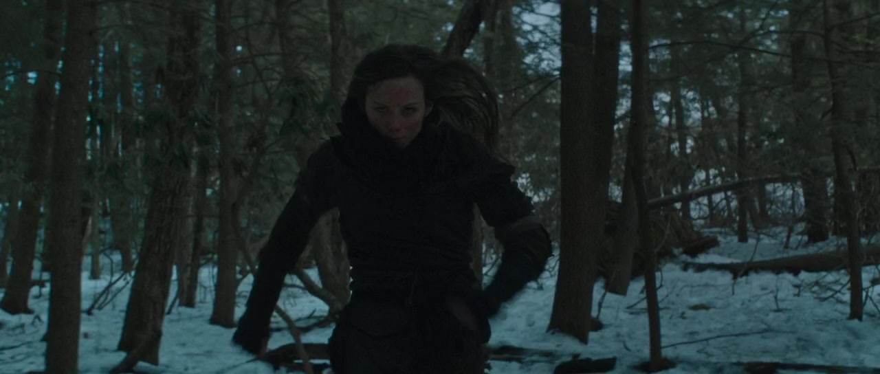 We've Forgotten More Than We Ever Knew screenshot 2