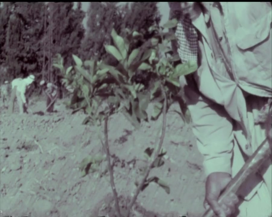 We Are All for the Fatherland screenshot 2