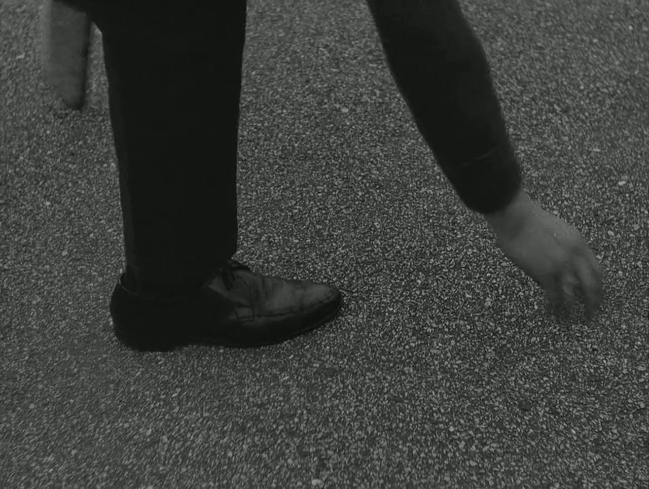 We Are the Lambeth Boys screenshot 1
