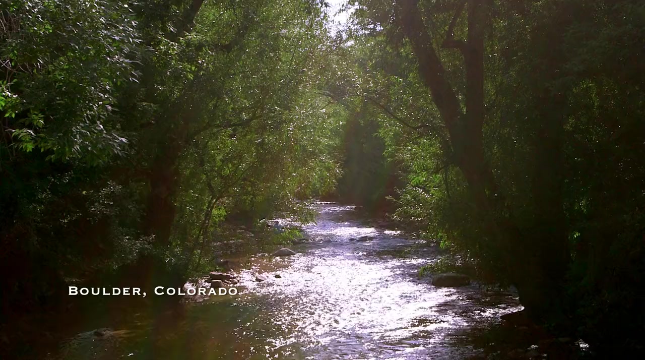 We Are Triathletes screenshot 1