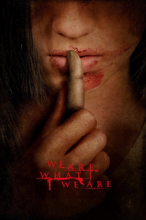 Somos lo que hay (2010) poster