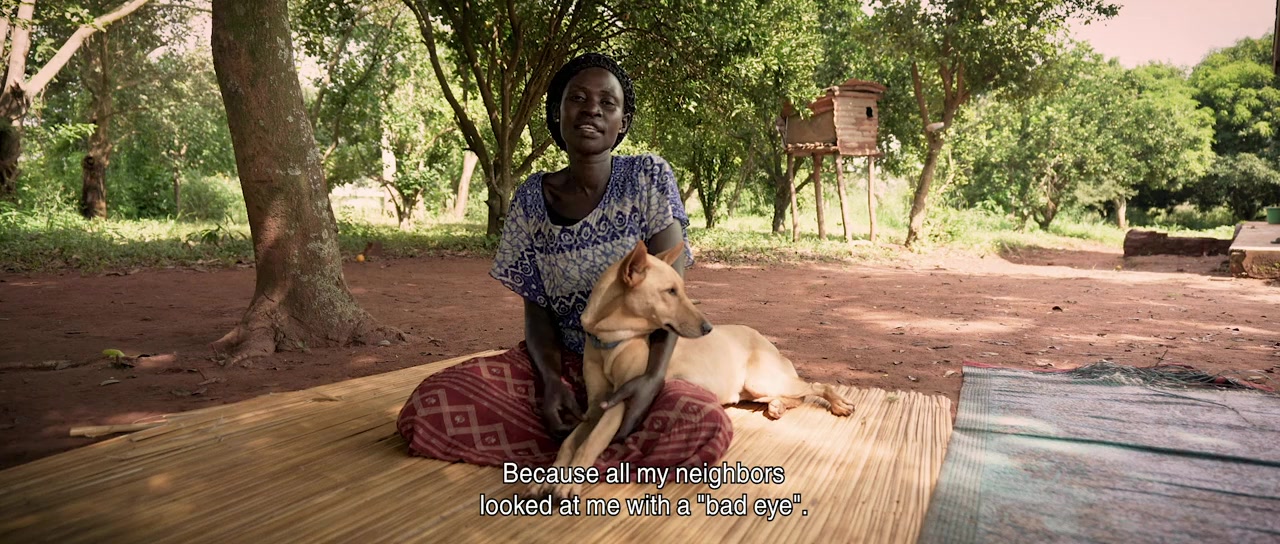 We Don't Deserve Dogs screenshot 1