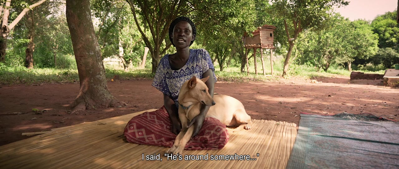 We Don't Deserve Dogs screenshot 2