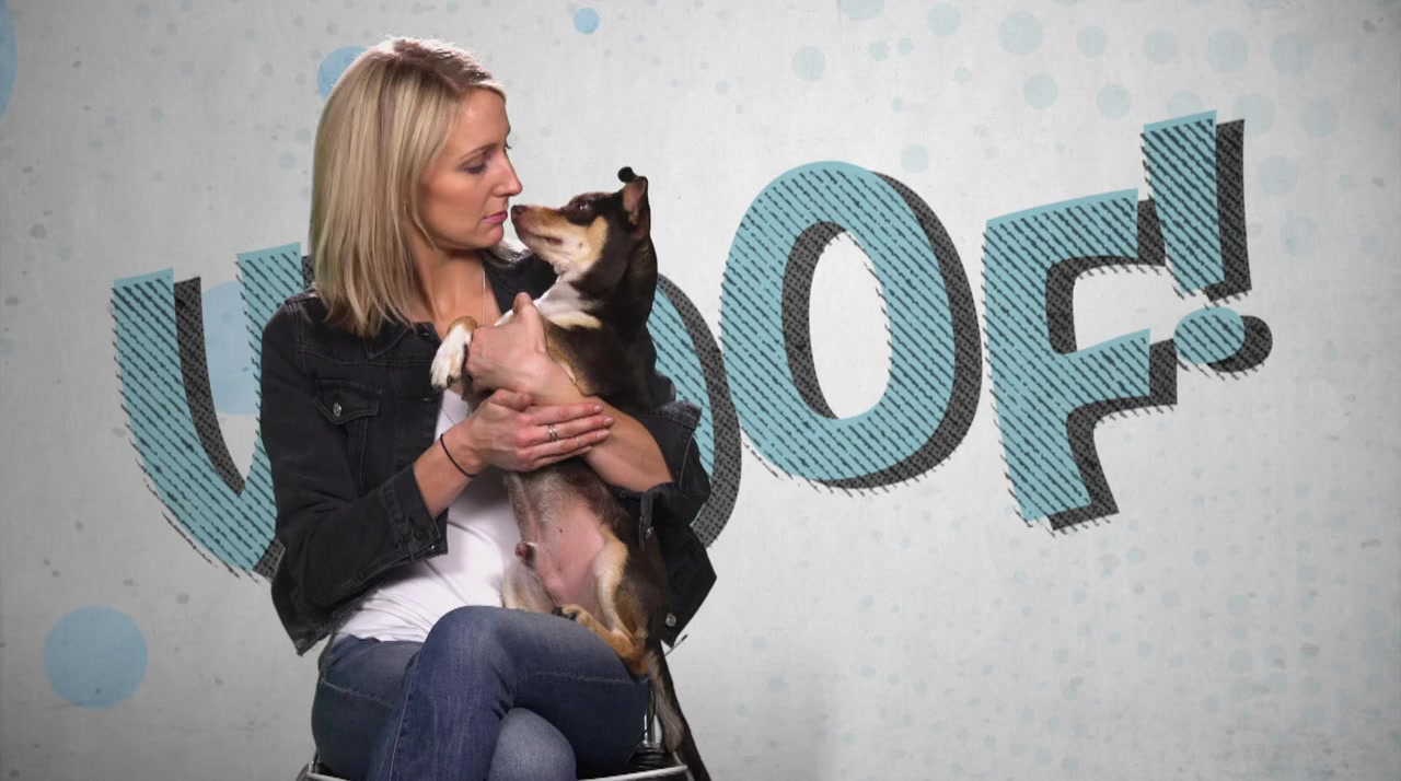 We Love Puppies screenshot 3