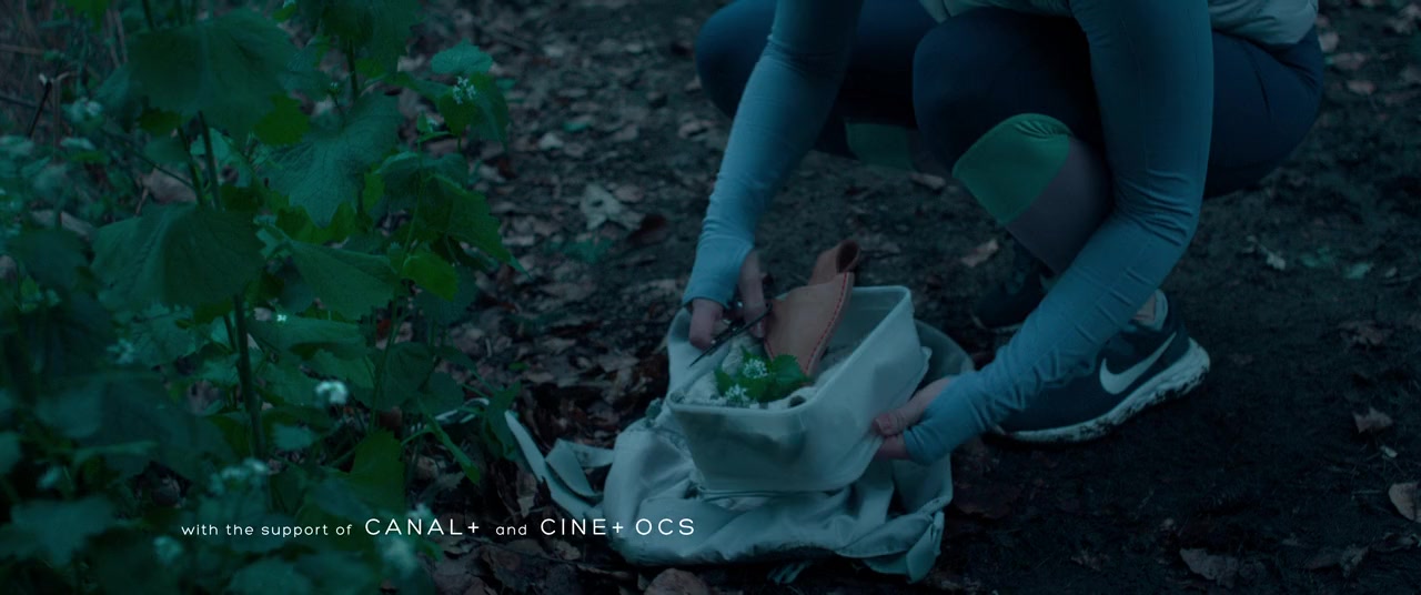 We Live in Time screenshot 3