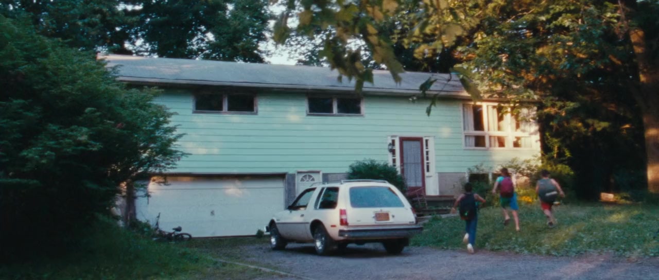 We the Animals screenshot 1