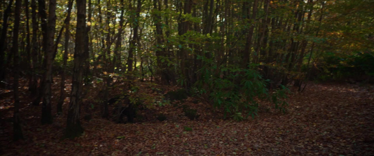 We the Kings screenshot 2