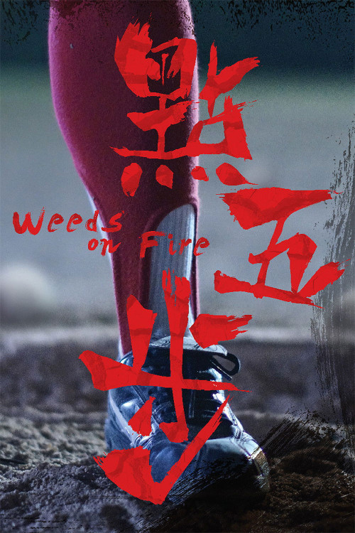 Dian wu bu (2016) poster