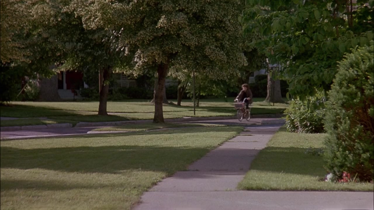 Welcome Home, Roxy Carmichael screenshot 3