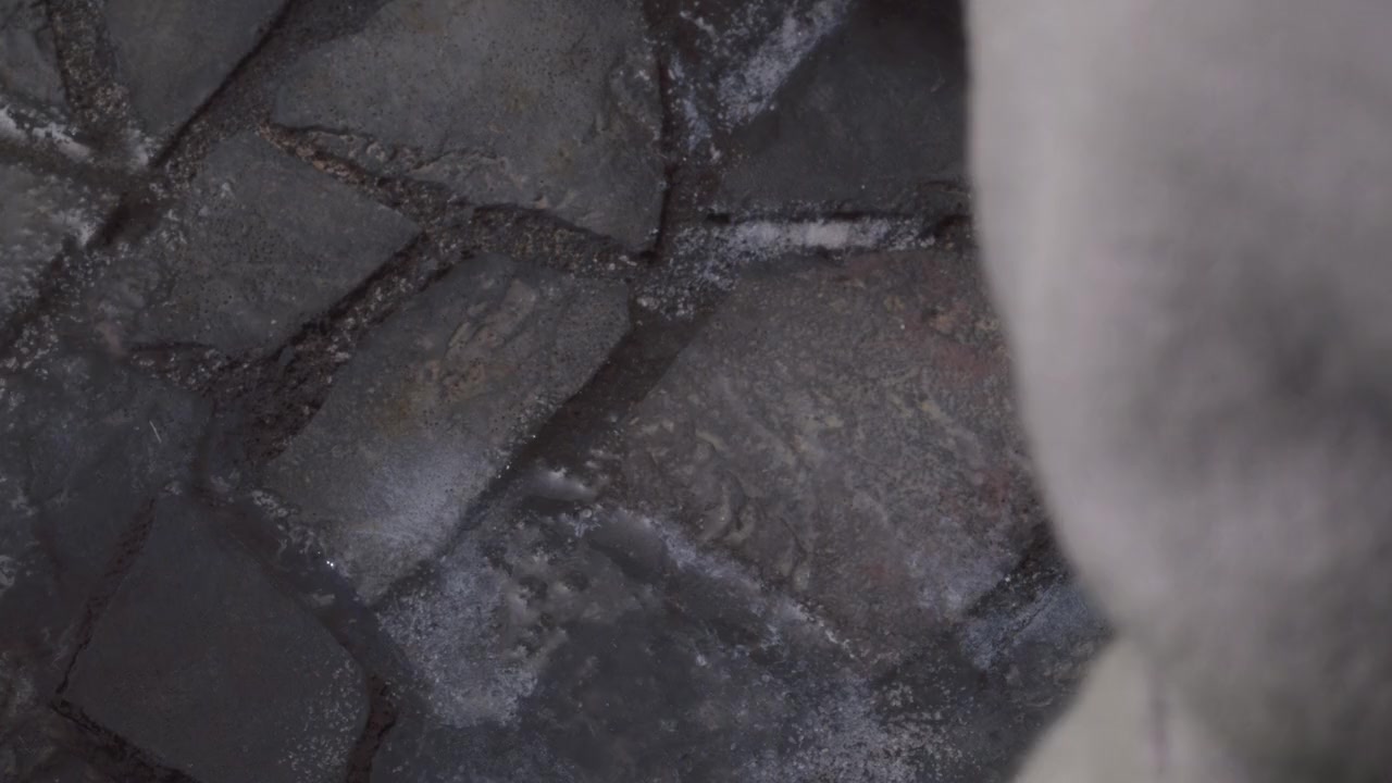 Wendell & Wild screenshot 3
