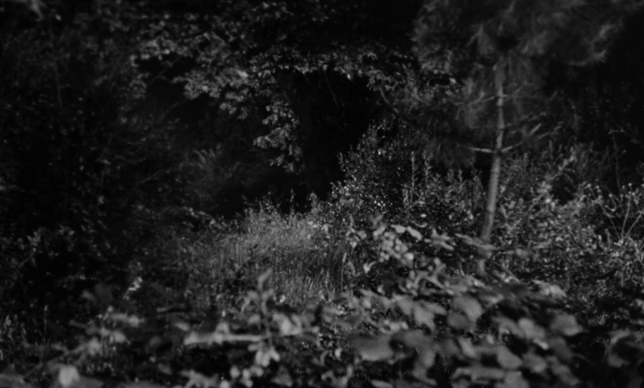 Lycanthropus screenshot 2