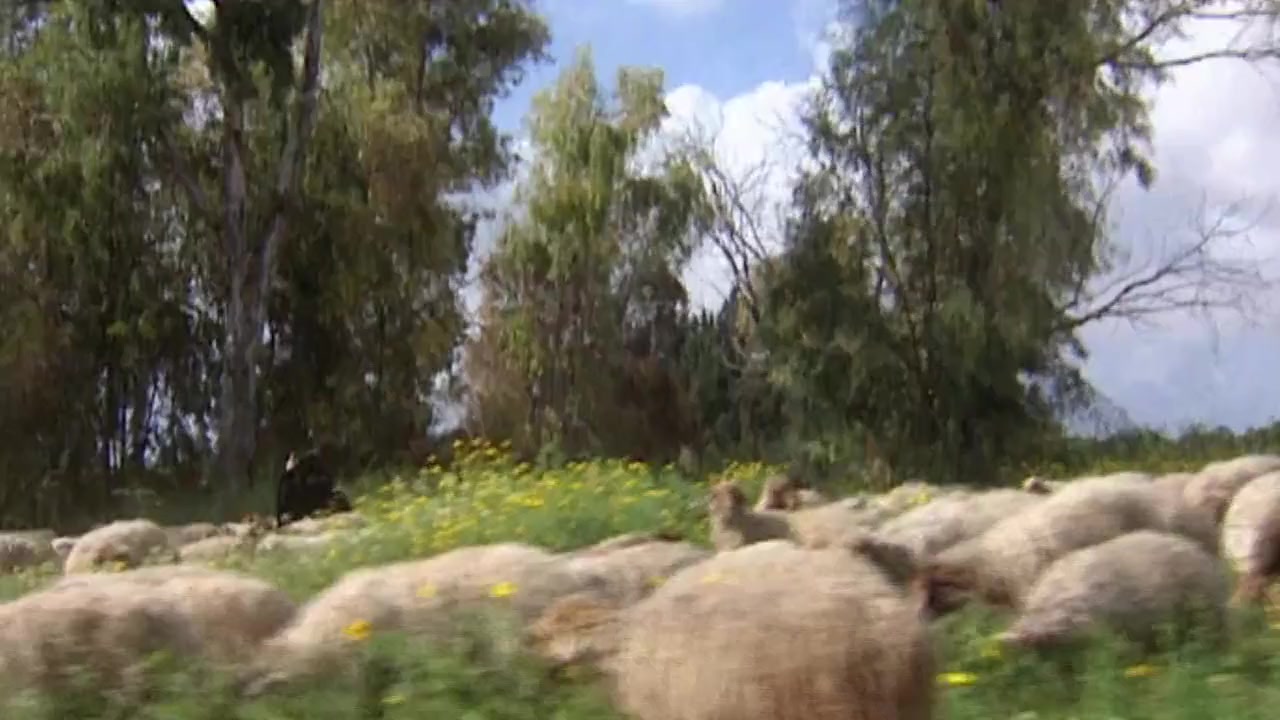 West of the Jordan River screenshot 1