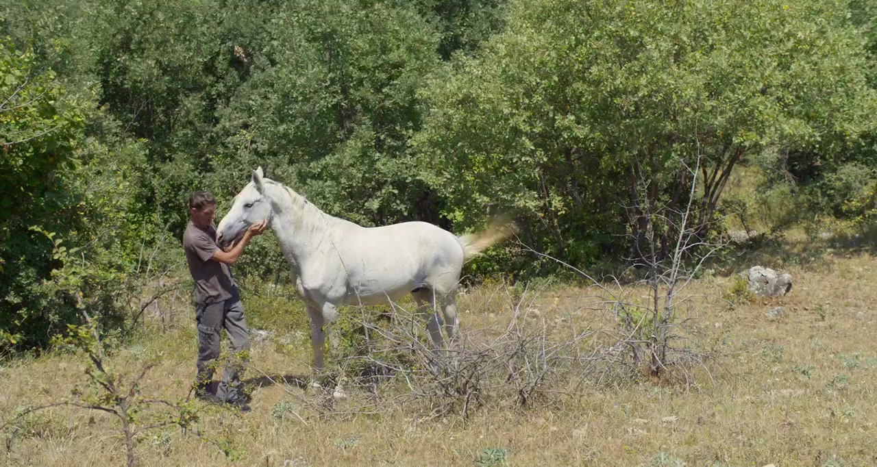 Western screenshot 1