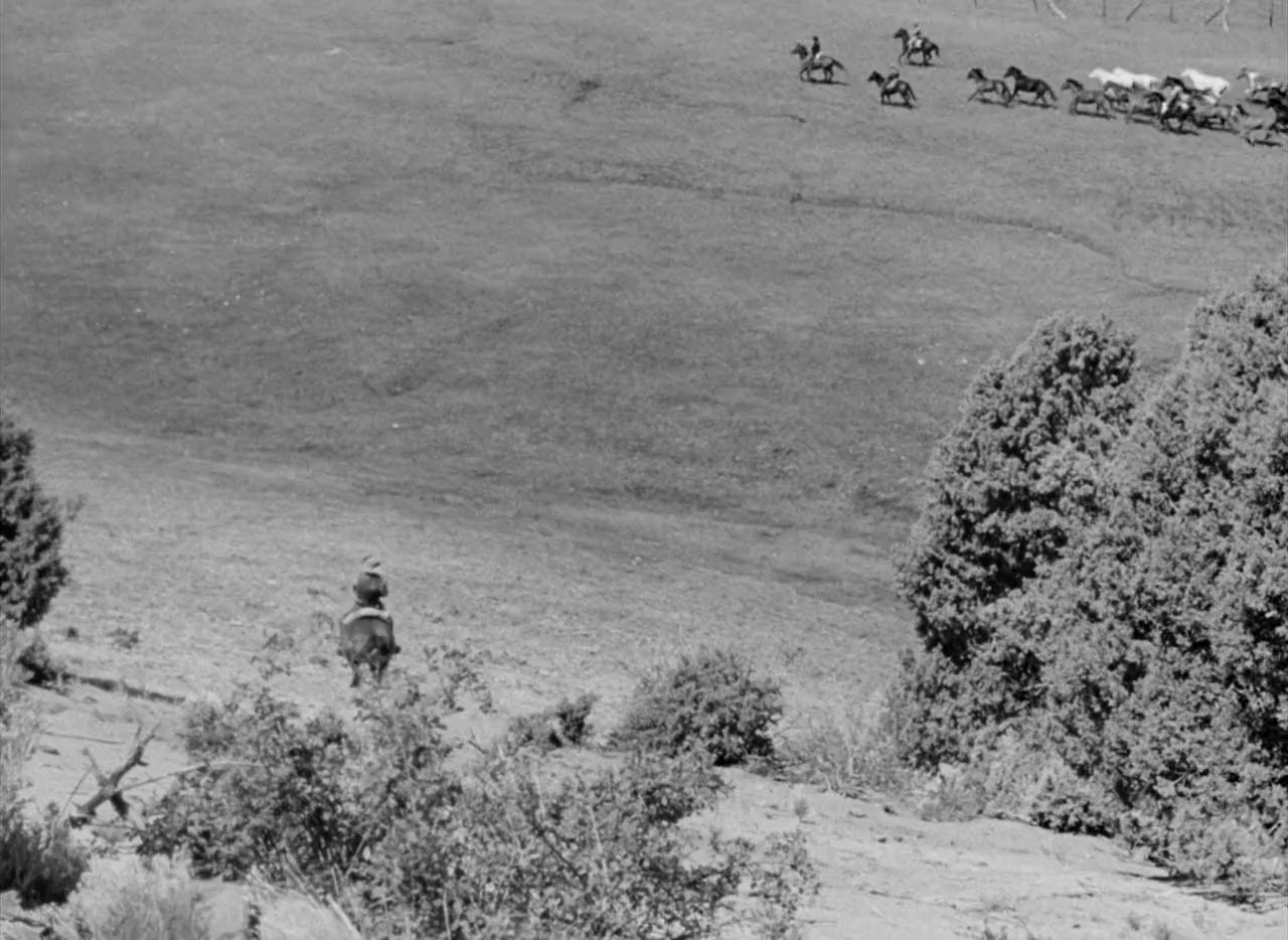 Westward the Women screenshot 2