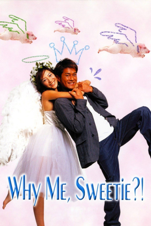 Sat yee gai lui wong (2003) poster