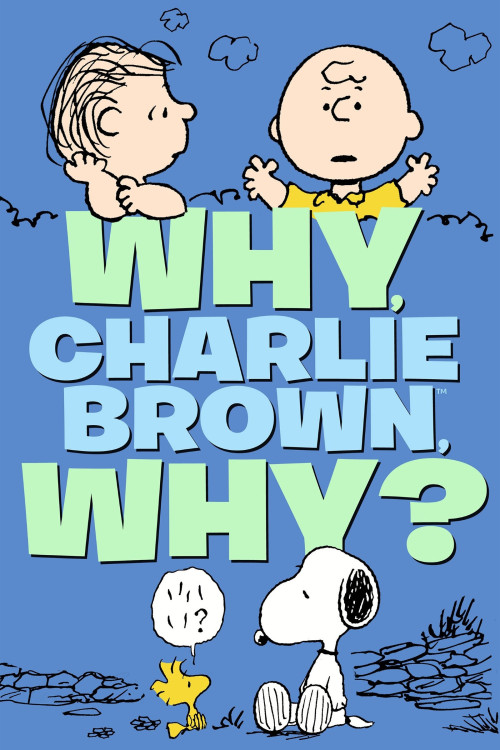 Why, Charlie Brown, Why? (1990) poster