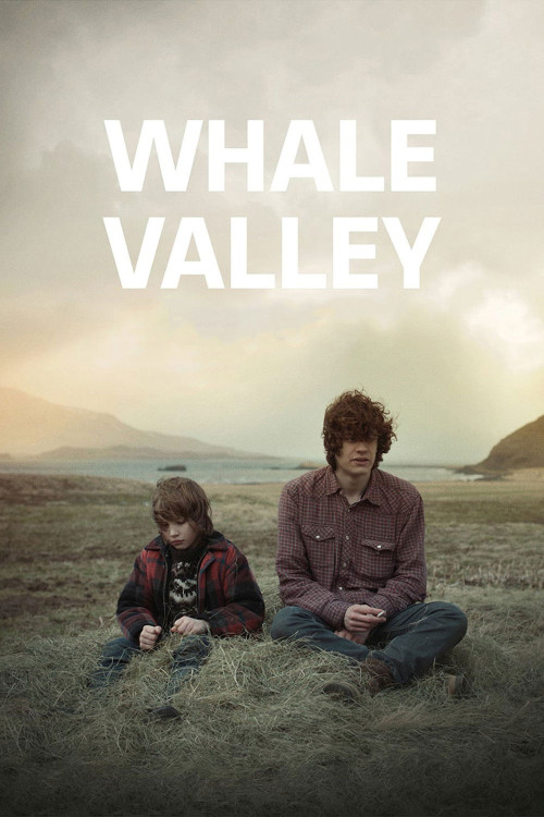 Hvalfjörður (2013) poster