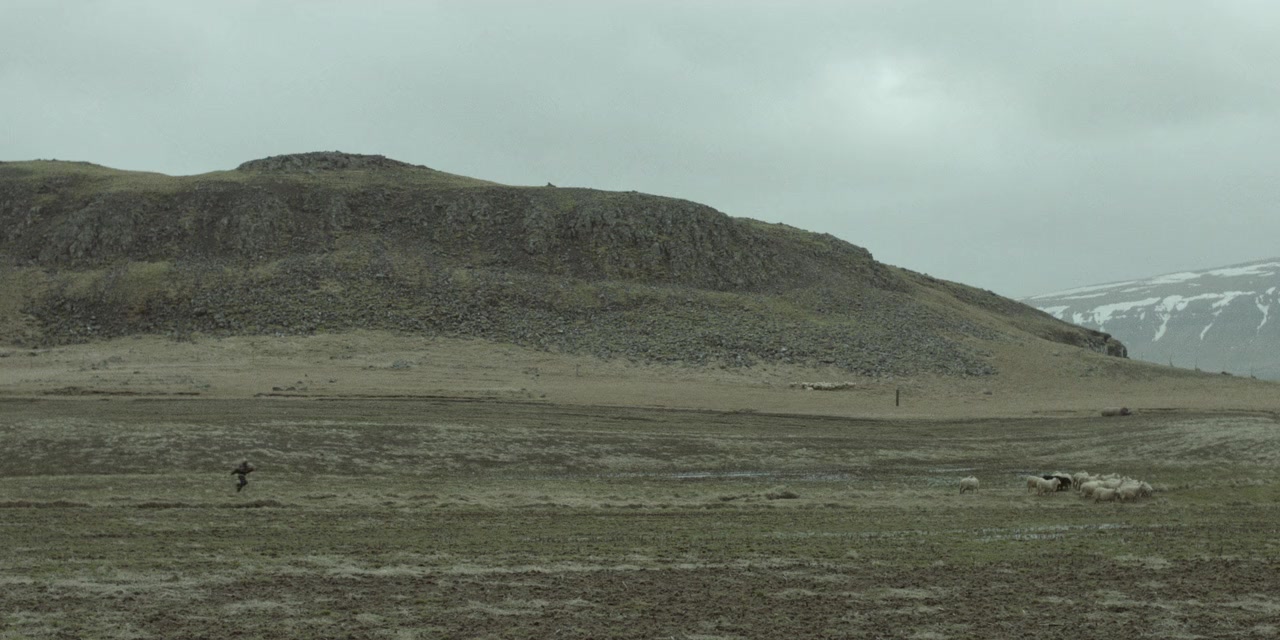 Hvalfjörður screenshot 3