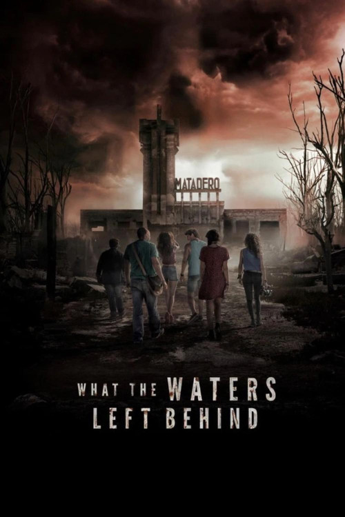 Los olvidados (2017) poster