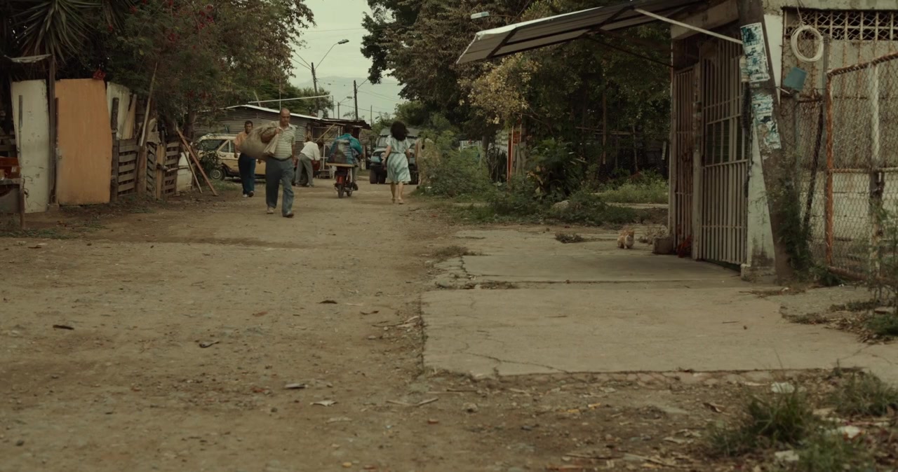 Llegaron de noche screenshot 1
