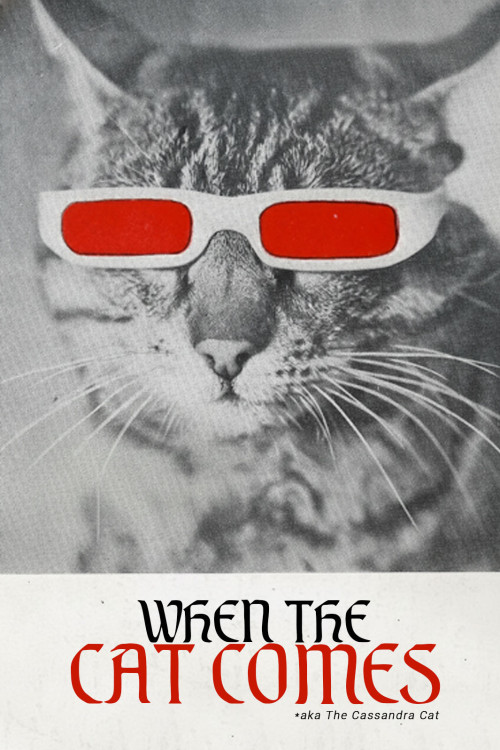 Az prijde kocour (1963) poster