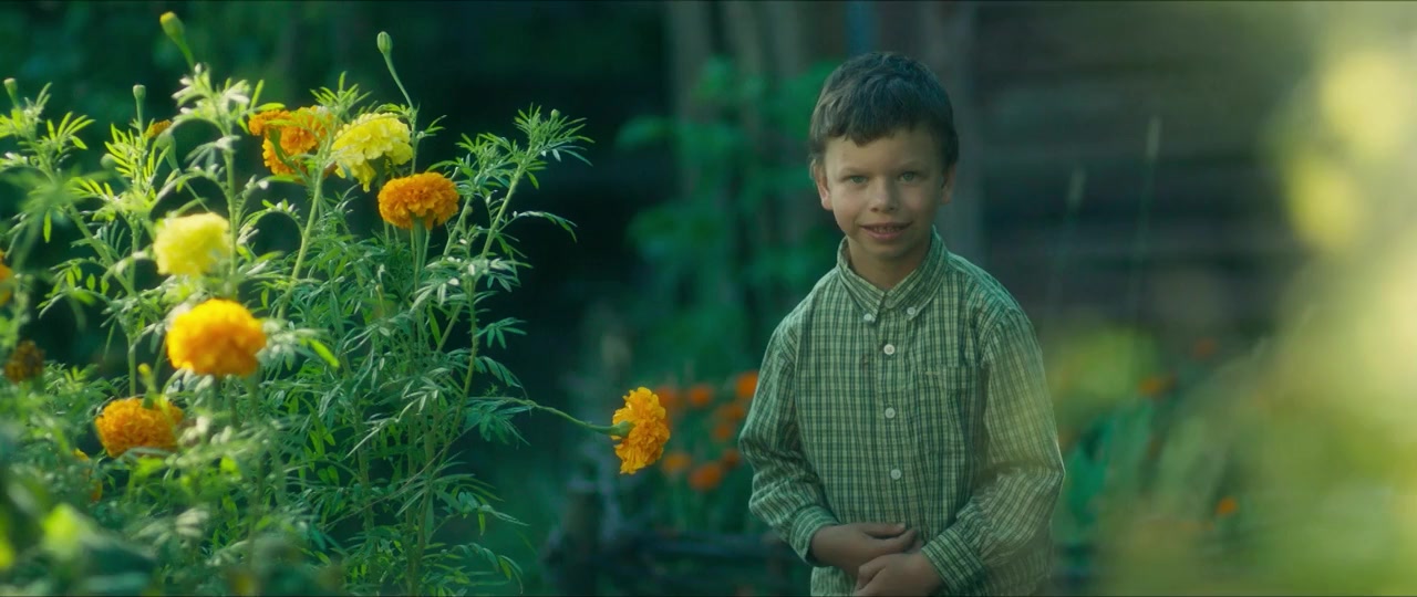 Koly padayut dereva screenshot 3