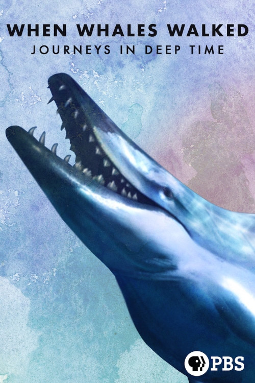 When Whales Walked: Journeys in Deep Time (2019) poster