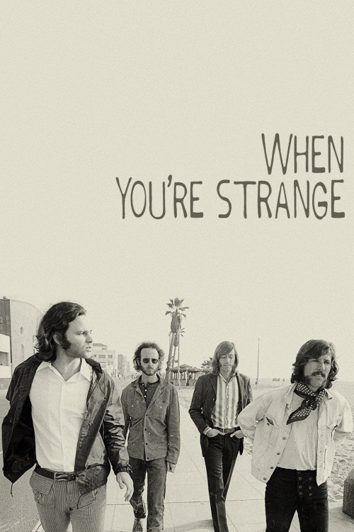 When You're Strange (2009) poster