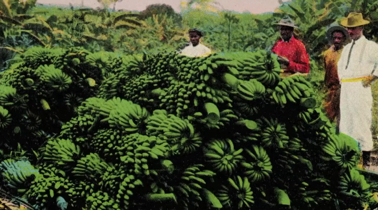 La loi de la banane screenshot 1