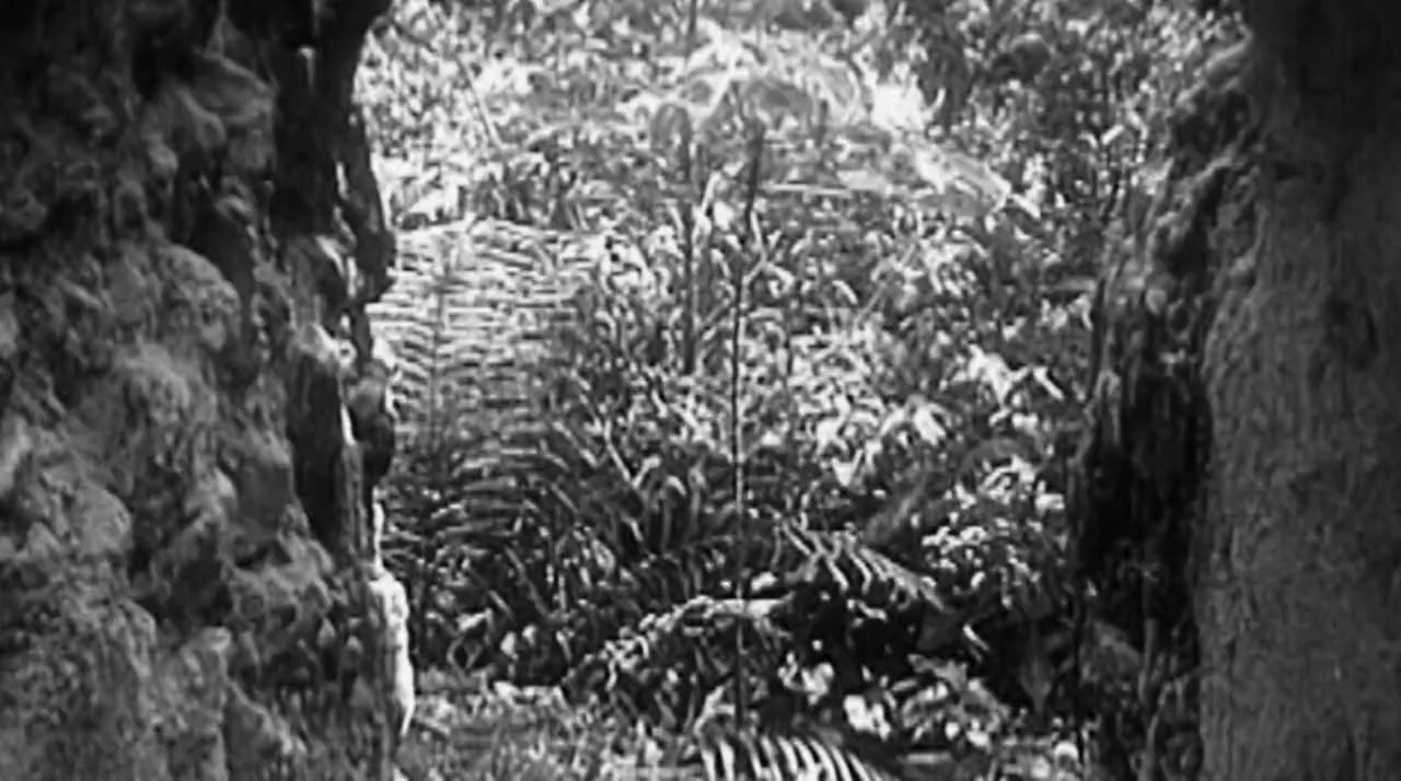 La loi de la banane screenshot 2