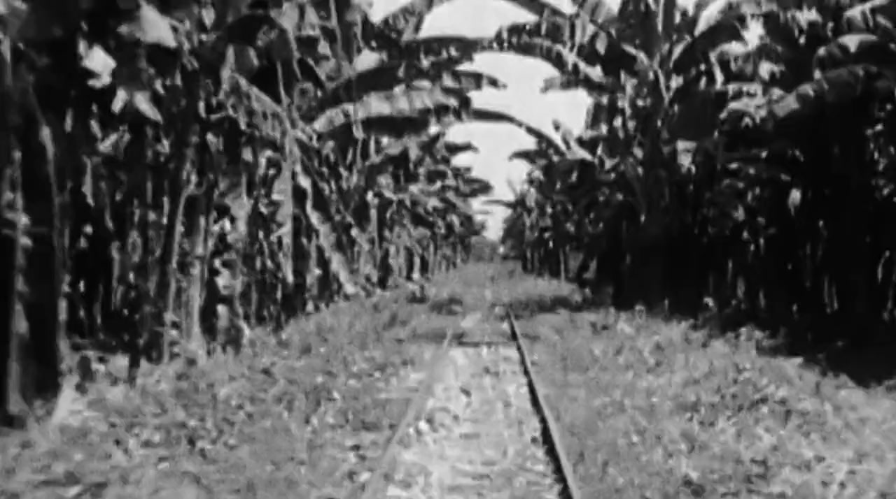 La loi de la banane screenshot 3