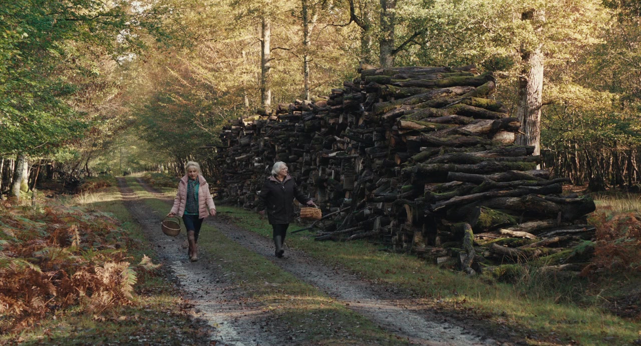 Quand vient l'automne screenshot 1