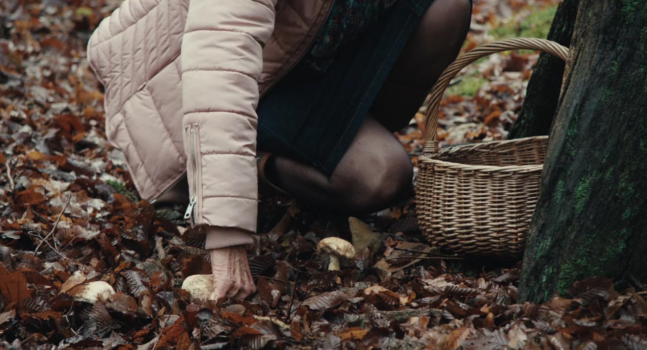 Quand vient l'automne screenshot 2