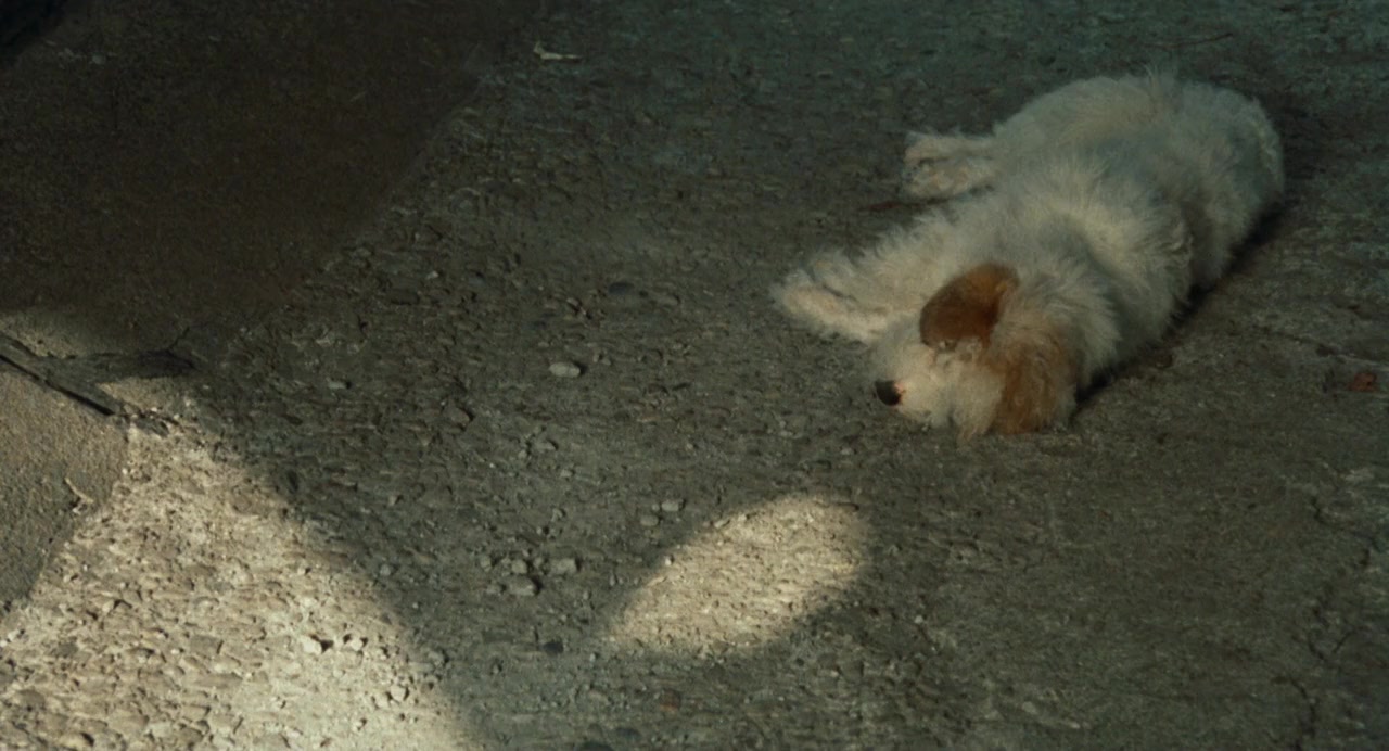 When Night Is Falling screenshot 1