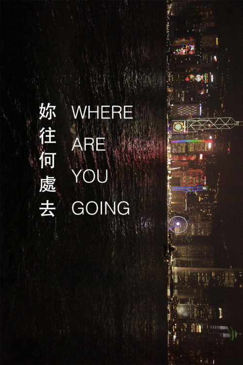Where Are You Going (2016) poster
