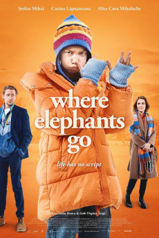 Where Elephants Go (2024) poster
