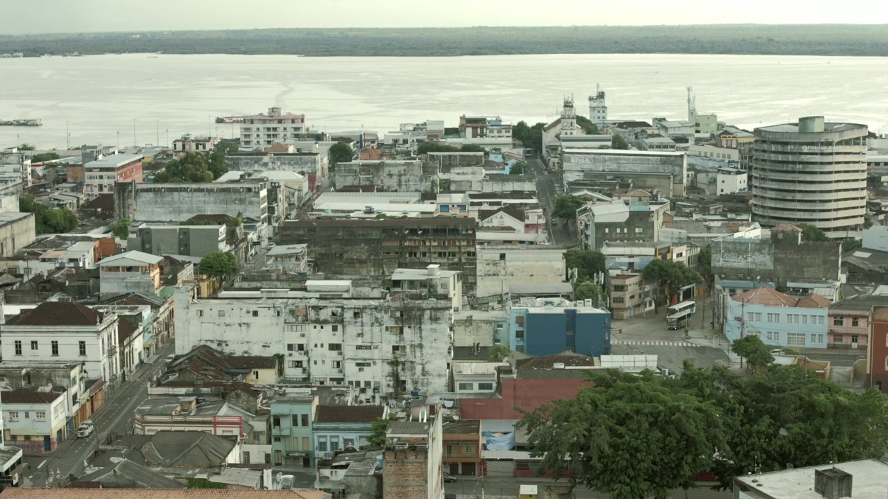 Where Is the Jungle? screenshot 1