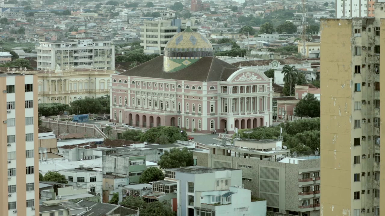 Where Is the Jungle? screenshot 3