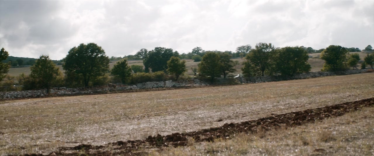 Tu choisiras la vie screenshot 2